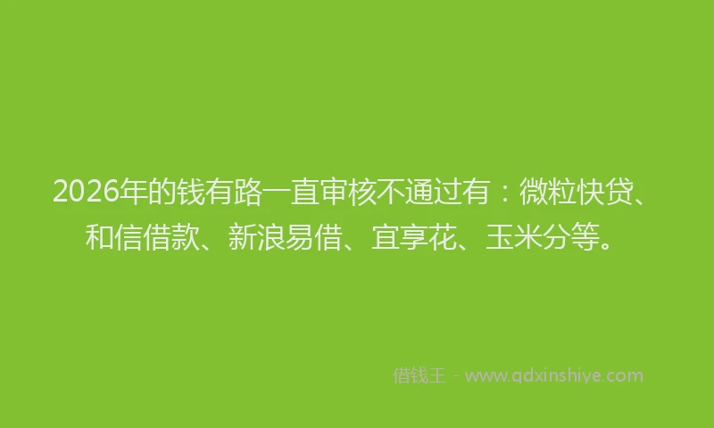 2026年的钱有路一直审核不通过有：微粒快贷、和信借款、新浪易借、宜享花、玉米分等。