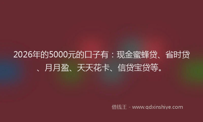2026年的5000元的口子有：现金蜜蜂贷、省时贷、月月盈、天天花卡、信贷宝贷等。