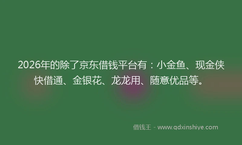2026年的除了京东借钱平台有：小金鱼、现金侠快借通、金银花、龙龙用、随意优品等。