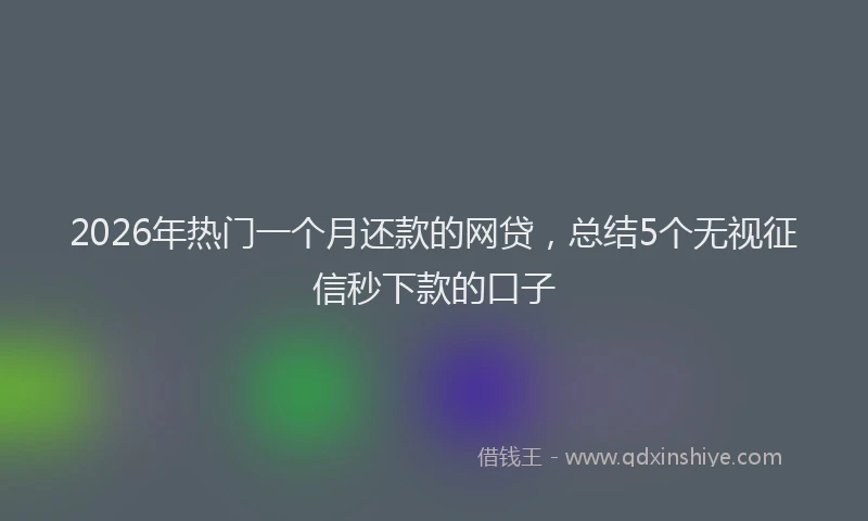 2026年热门一个月还款的网贷，总结5个无视征信秒下款的口子