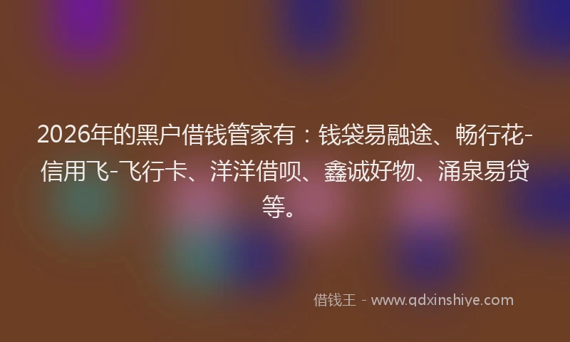 2026年的黑户借钱管家有：钱袋易融途、畅行花-信用飞-飞行卡、洋洋借呗、鑫诚好物、涌泉易贷等。