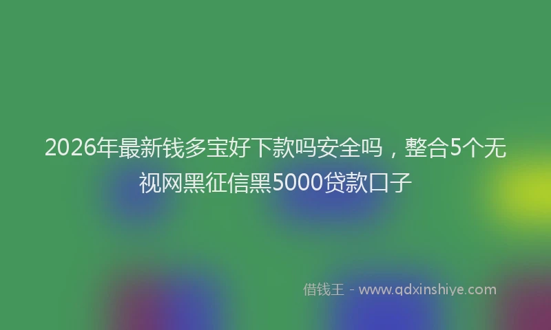 2026年最新钱多宝好下款吗安全吗，整合5个无视网黑征信黑5000贷款口子