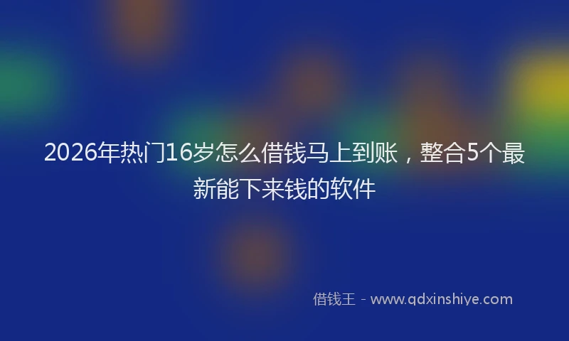 2026年热门16岁怎么借钱马上到账，整合5个最新能下来钱的软件