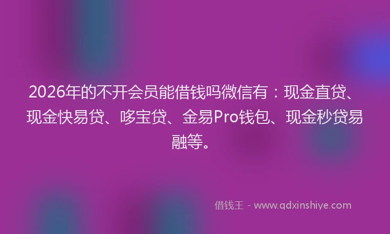 2026年的不开会员能借钱吗微信有：现金直贷、现金快易贷、哆宝贷、金易Pro钱包、现金秒贷易融等。