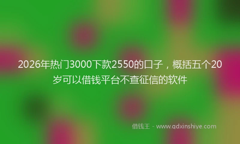 2026年热门3000下款2550的口子，概括五个20岁可以借钱平台不查征信的软件