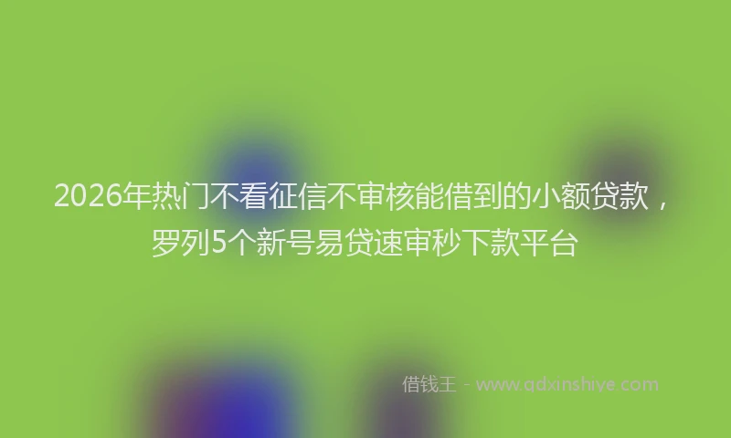 2026年热门不看征信不审核能借到的小额贷款，罗列5个新号易贷速审秒下款平台