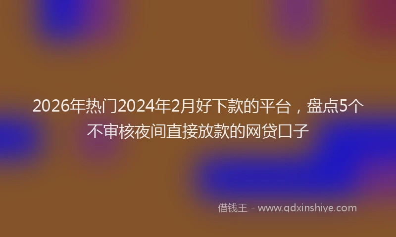2026年热门2024年2月好下款的平台，盘点5个不审核夜间直接放款的网贷口子