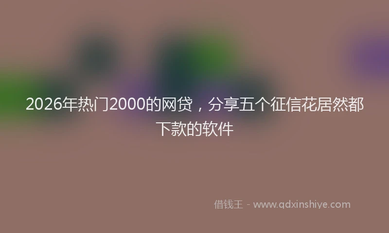 2026年热门2000的网贷，分享五个征信花居然都下款的软件