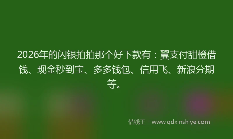 2026年的闪银拍拍那个好下款有：翼支付甜橙借钱、现金秒到宝、多多钱包、信用飞、新浪分期等。