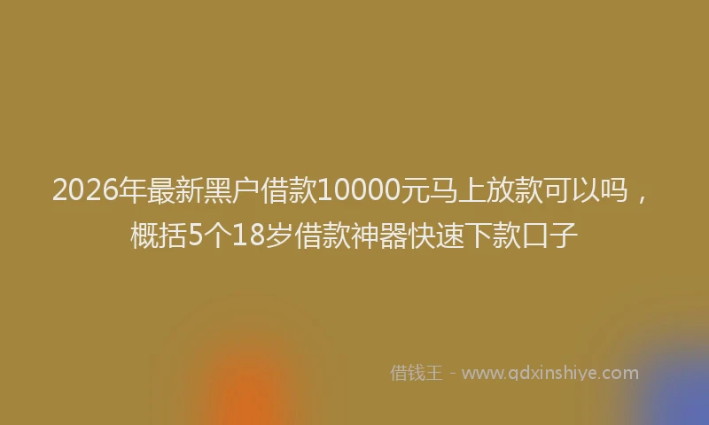 2026年最新黑户借款10000元马上放款可以吗，概括5个18岁借款神器快速下款口子
