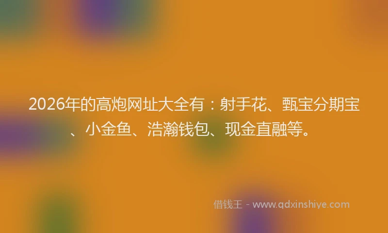 2026年的高炮网址大全有：射手花、甄宝分期宝、小金鱼、浩瀚钱包、现金直融等。