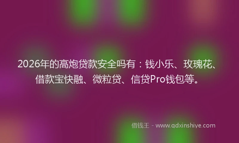 2026年的高炮贷款安全吗有：钱小乐、玫瑰花、借款宝快融、微粒贷、信贷Pro钱包等。
