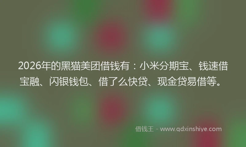 2026年的黑猫美团借钱有：小米分期宝、钱速借宝融、闪银钱包、借了么快贷、现金贷易借等。