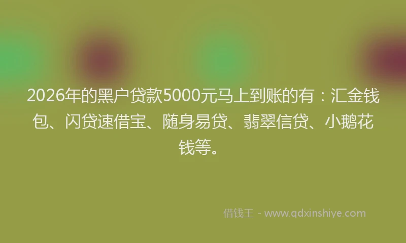 2026年的黑户贷款5000元马上到账的有：汇金钱包、闪贷速借宝、随身易贷、翡翠信贷、小鹅花钱等。
