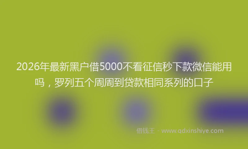 2026年最新黑户借5000不看征信秒下款微信能用吗，罗列五个周周到贷款相同系列的口子
