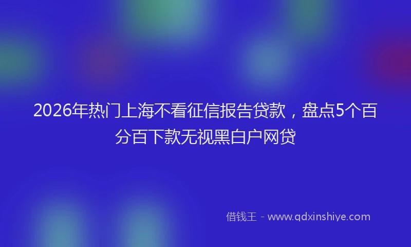 2026年热门上海不看征信报告贷款，盘点5个百分百下款无视黑白户网贷