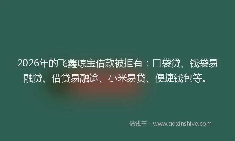 2026年的飞鑫琼宝借款被拒有：口袋贷、钱袋易融贷、借贷易融途、小米易贷、便捷钱包等。