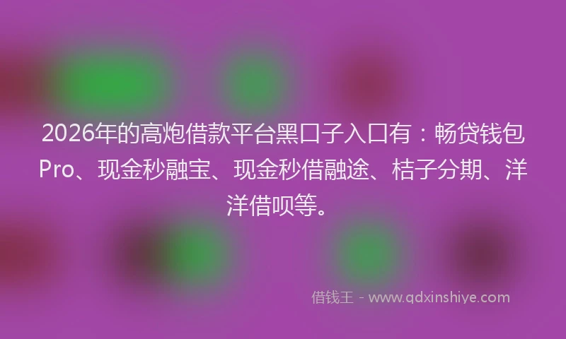 2026年的高炮借款平台黑口子入口有：畅贷钱包Pro、现金秒融宝、现金秒借融途、桔子分期、洋洋借呗等。