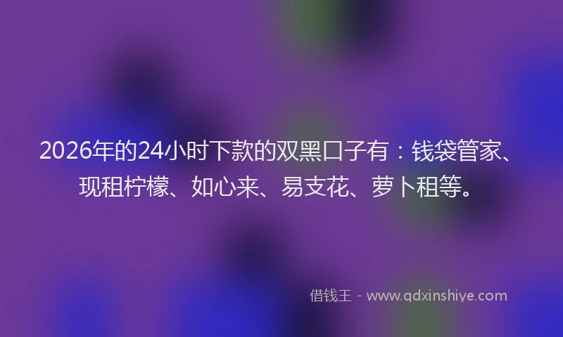 2026年的24小时下款的双黑口子有：钱袋管家、现租柠檬、如心来、易支花、萝卜租等。