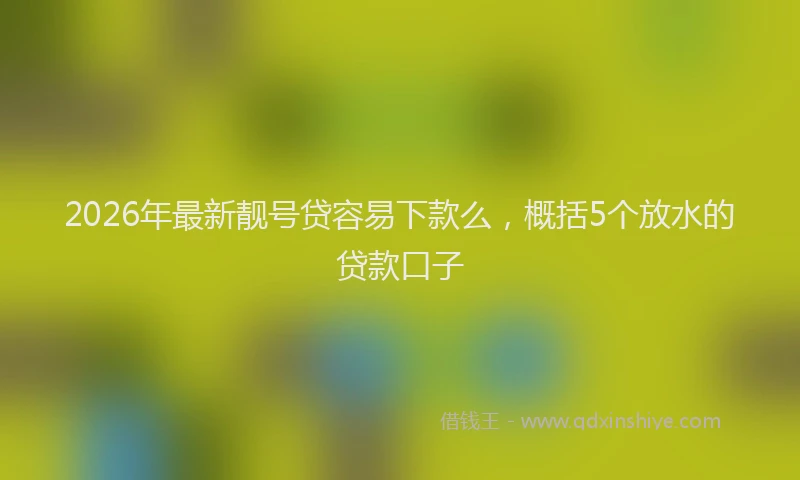 2026年最新靓号贷容易下款么，概括5个放水的贷款口子