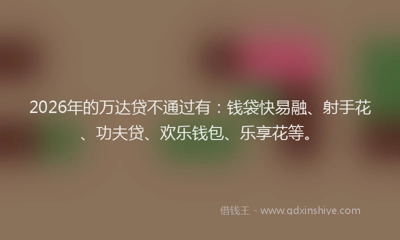 2026年的万达贷不通过有：钱袋快易融、射手花、功夫贷、欢乐钱包、乐享花等。