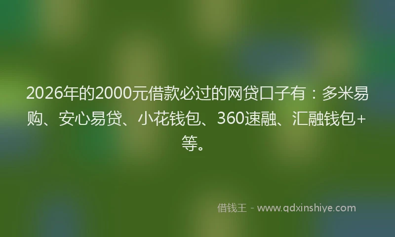 2026年的2000元借款必过的网贷口子有：多米易购、安心易贷、小花钱包、360速融、汇融钱包+等。