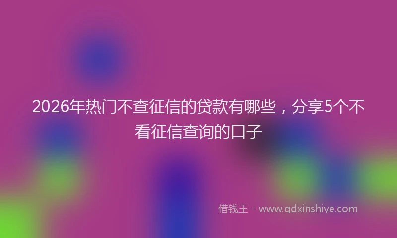 2026年热门不查征信的贷款有哪些，分享5个不看征信查询的口子