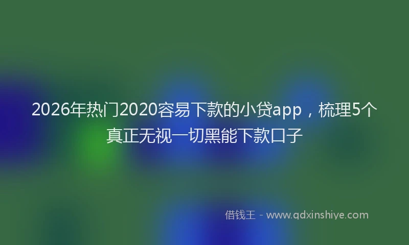 2026年热门2020容易下款的小贷app，梳理5个真正无视一切黑能下款口子