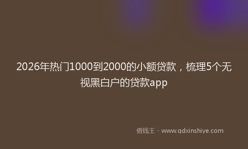 2026年热门1000到2000的小额贷款，梳理5个无视黑白户的贷款app