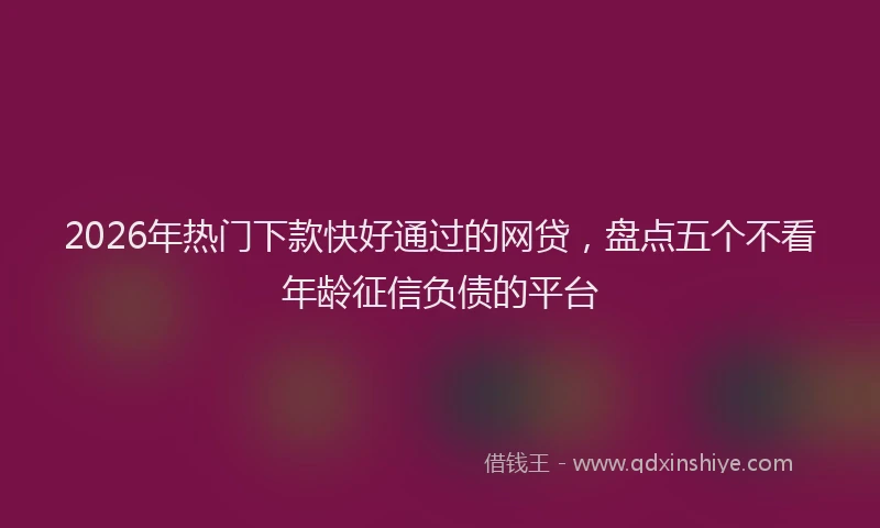 2026年热门下款快好通过的网贷，盘点五个不看年龄征信负债的平台