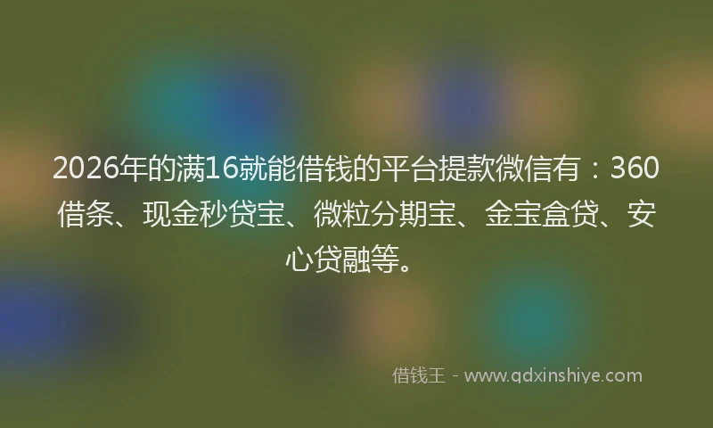 2026年的满16就能借钱的平台提款微信有：360借条、现金秒贷宝、微粒分期宝、金宝盒贷、安心贷融等。