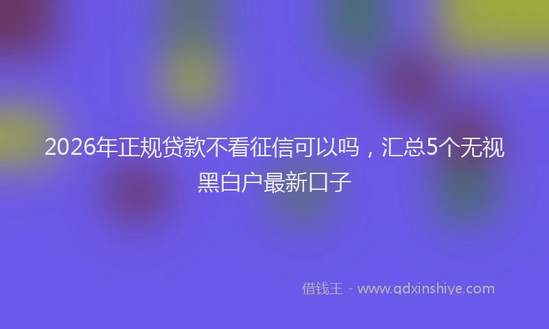 2026年正规贷款不看征信可以吗，汇总5个无视黑白户最新口子