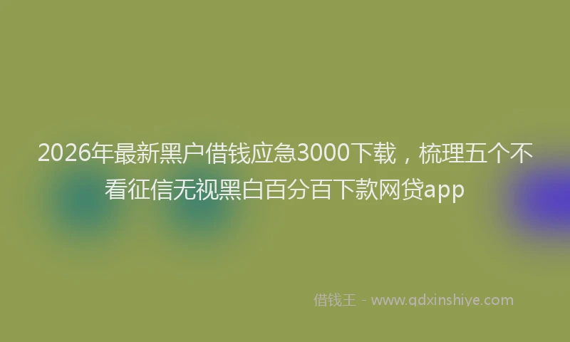 2026年最新黑户借钱应急3000下载，梳理五个不看征信无视黑白百分百下款网贷app