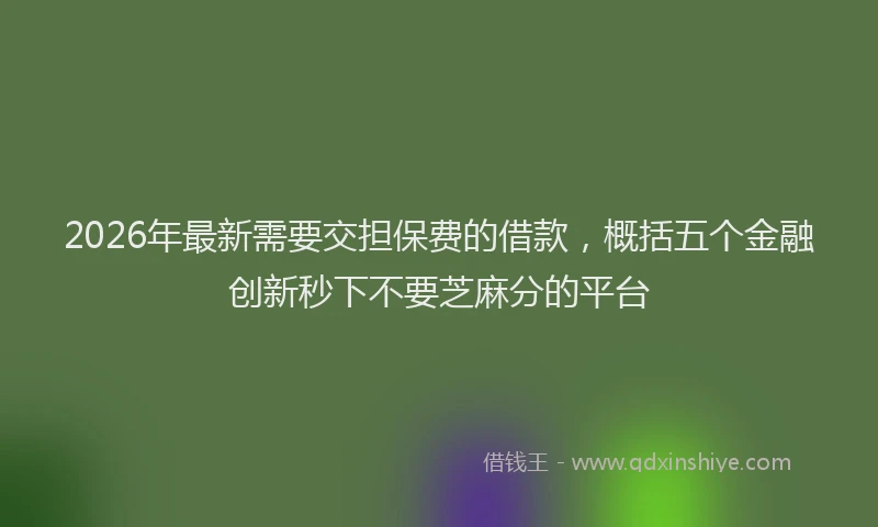 2026年最新需要交担保费的借款，概括五个金融创新秒下不要芝麻分的平台