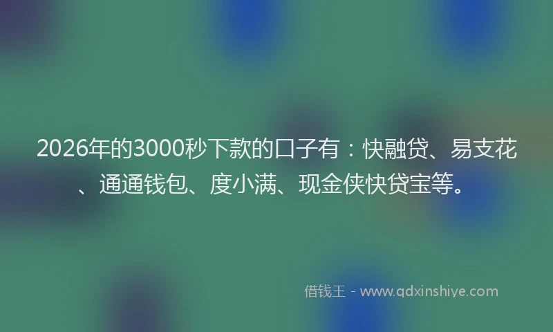 2026年的3000秒下款的口子有：快融贷、易支花、通通钱包、度小满、现金侠快贷宝等。