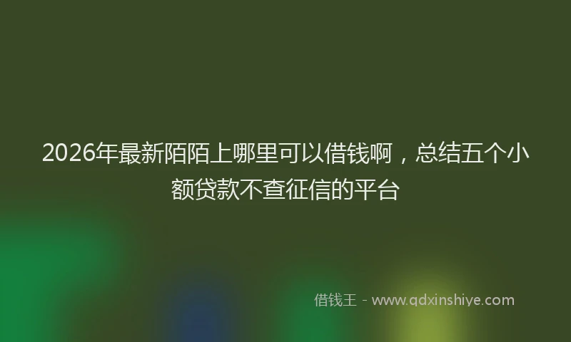 2026年最新陌陌上哪里可以借钱啊，总结五个小额贷款不查征信的平台