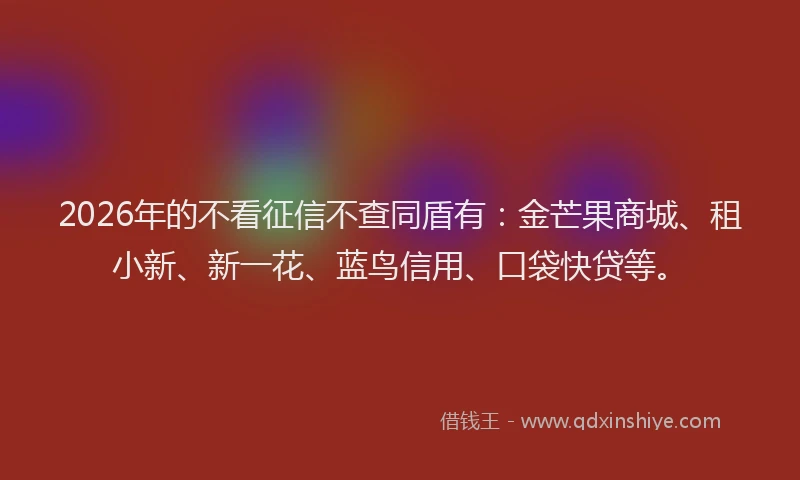 2026年的不看征信不查同盾有：金芒果商城、租小新、新一花、蓝鸟信用、口袋快贷等。