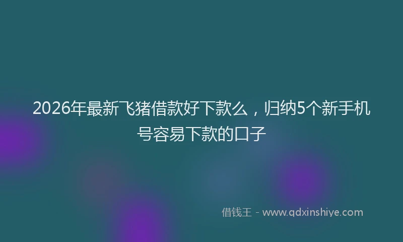 2026年最新飞猪借款好下款么，归纳5个新手机号容易下款的口子