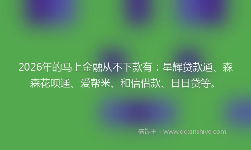 2026年的马上金融从不下款有：星辉贷款通、森森花呗通、爱帮米、和信借款、日日贷等。