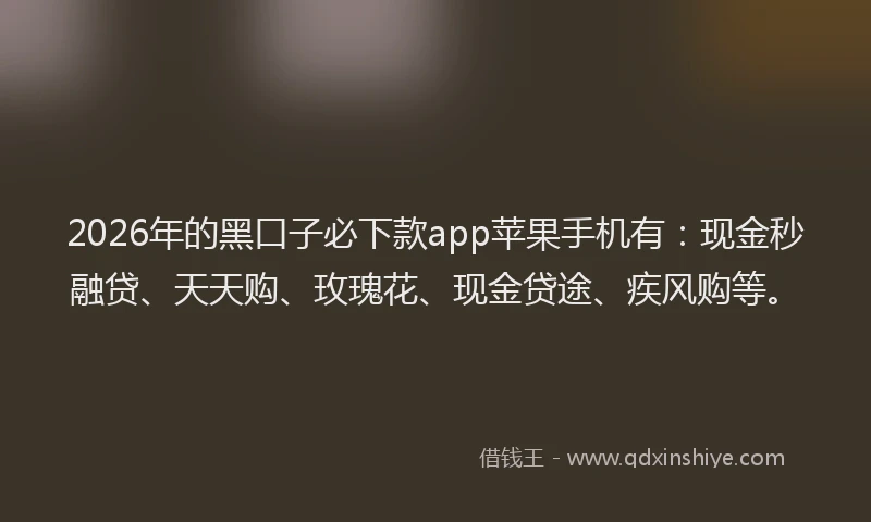 2026年的黑口子必下款app苹果手机有：现金秒融贷、天天购、玫瑰花、现金贷途、疾风购等。