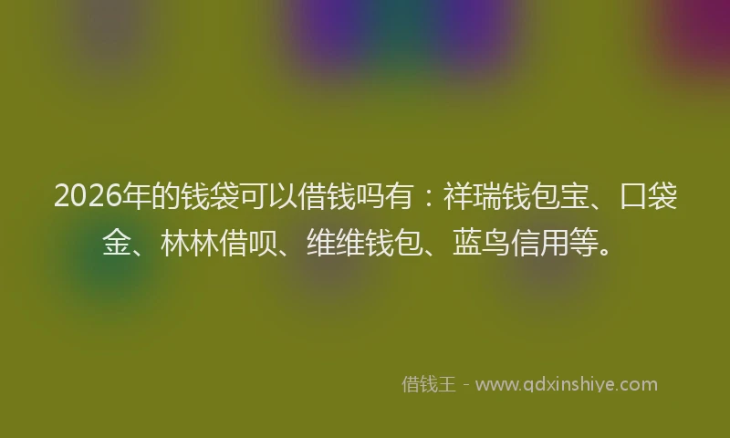 2026年的钱袋可以借钱吗有：祥瑞钱包宝、口袋金、林林借呗、维维钱包、蓝鸟信用等。