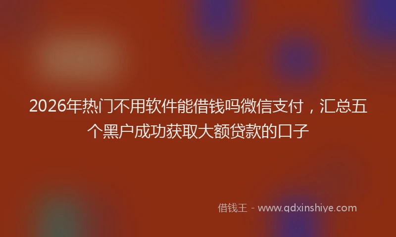 2026年热门不用软件能借钱吗微信支付，汇总五个黑户成功获取大额贷款的口子