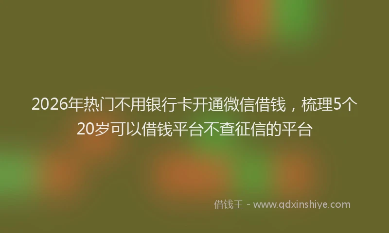 2026年热门不用银行卡开通微信借钱，梳理5个20岁可以借钱平台不查征信的平台