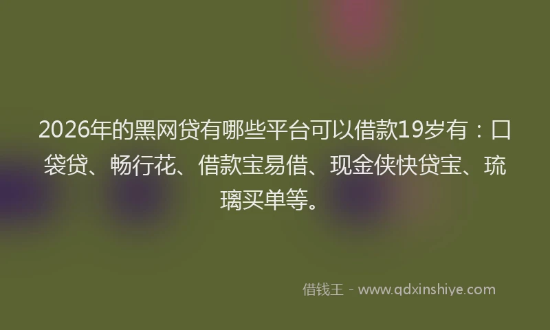 2026年的黑网贷有哪些平台可以借款19岁有：口袋贷、畅行花、借款宝易借、现金侠快贷宝、琉璃买单等。