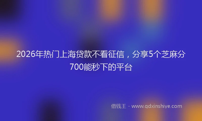 2026年热门上海贷款不看征信，分享5个芝麻分700能秒下的平台