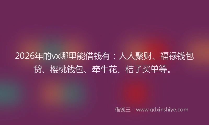 2026年的vx哪里能借钱有：人人聚财、福禄钱包贷、樱桃钱包、牵牛花、桔子买单等。