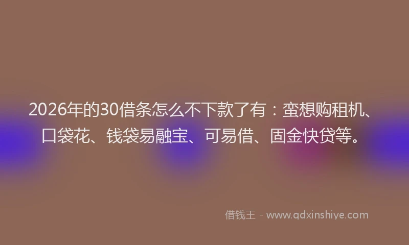 2026年的30借条怎么不下款了有：蛮想购租机、口袋花、钱袋易融宝、可易借、固金快贷等。
