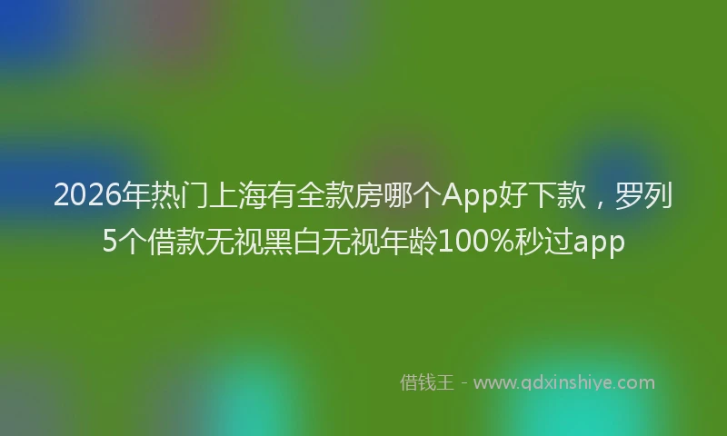 2026年热门上海有全款房哪个App好下款，罗列5个借款无视黑白无视年龄100%秒过app