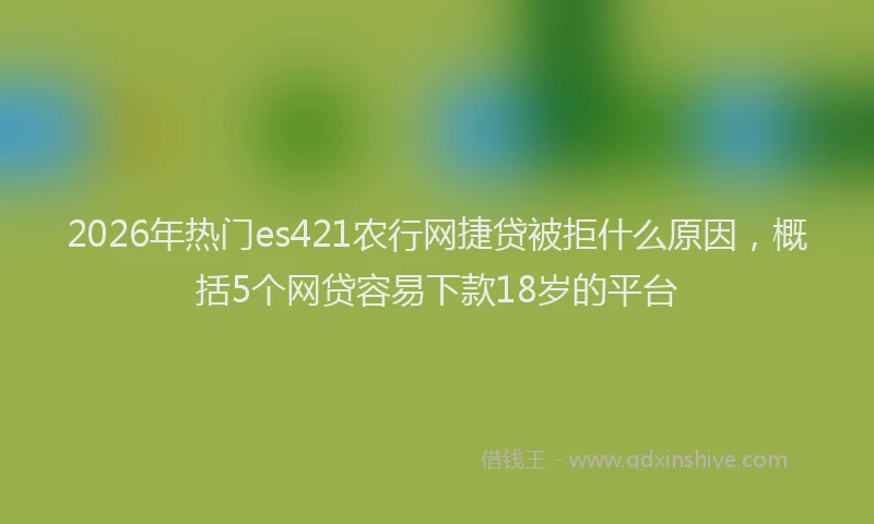 2026年热门es421农行网捷贷被拒什么原因，概括5个网贷容易下款18岁的平台