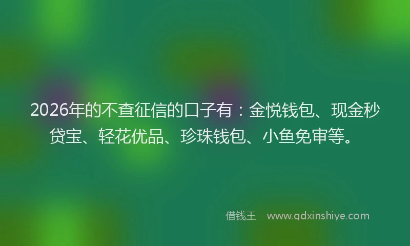 2026年的不查征信的口子有：金悦钱包、现金秒贷宝、轻花优品、珍珠钱包、小鱼免审等。